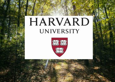 Harvard Forest
